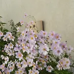 迪斯戴乐瑞旅馆 3* Le Tâtre