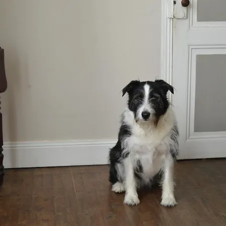 La Vieille Distillerie