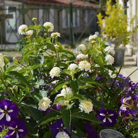 Bed and Breakfast La Vieille Distillerie 3*