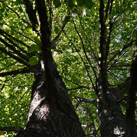 La Vieille Distillerie