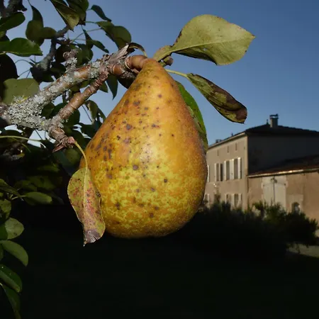 Bed & Breakfast La Vieille Distillerie
