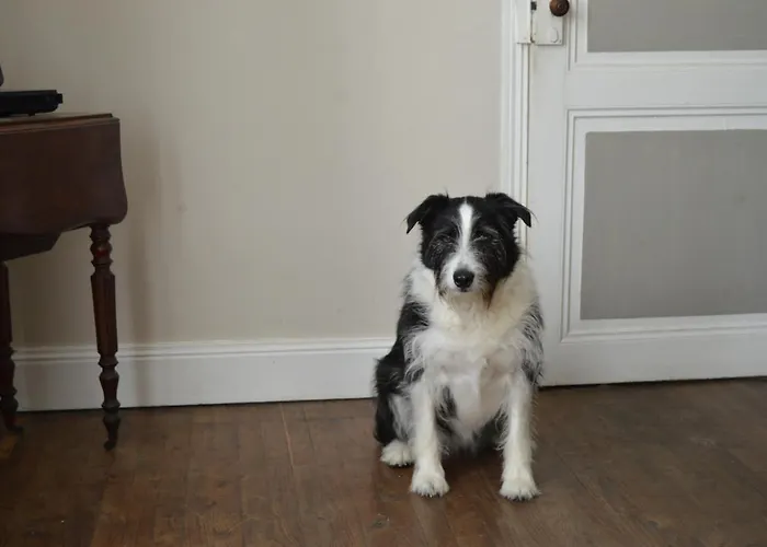 La Vieille Distillerie