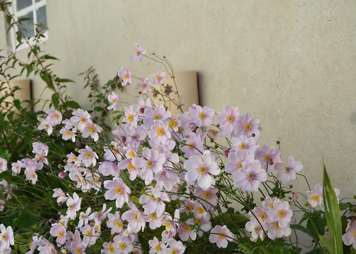 La Vieille Distillerie 3* Le Tâtre