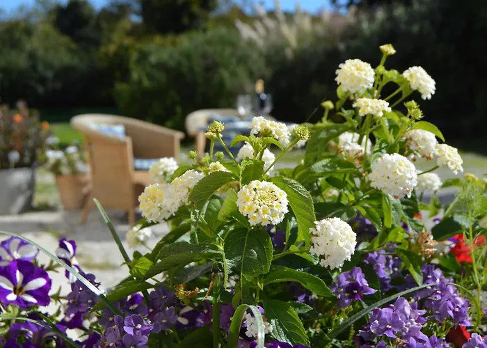 La Vieille Distillerie Bed and Breakfast