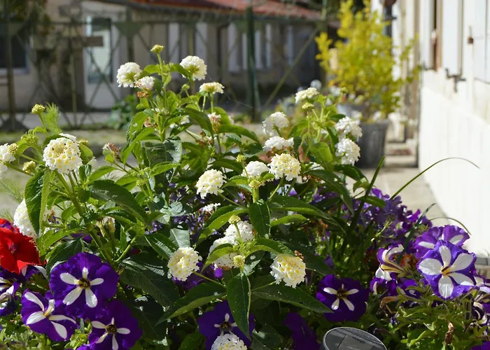 Bed and Breakfast La Vieille Distillerie 3*