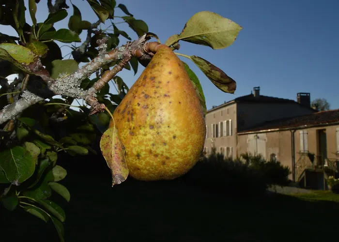 Bed and Breakfast La Vieille Distillerie