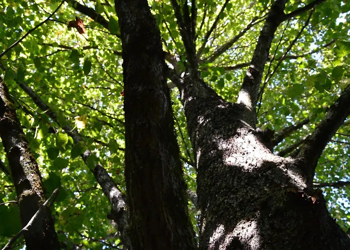 Bed and Breakfast La Vieille Distillerie 3*