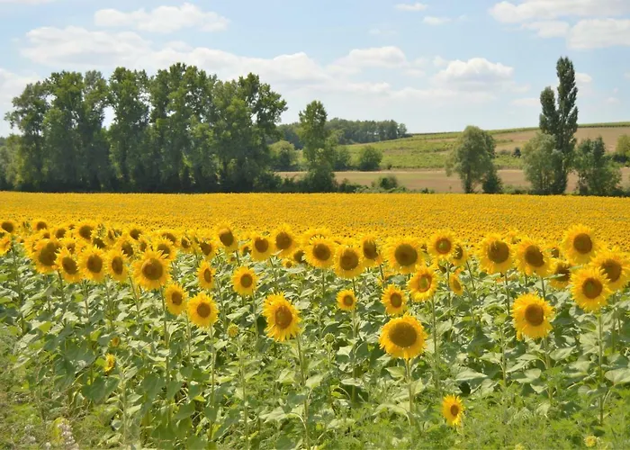 La Vieille Distillerie Le Tâtre